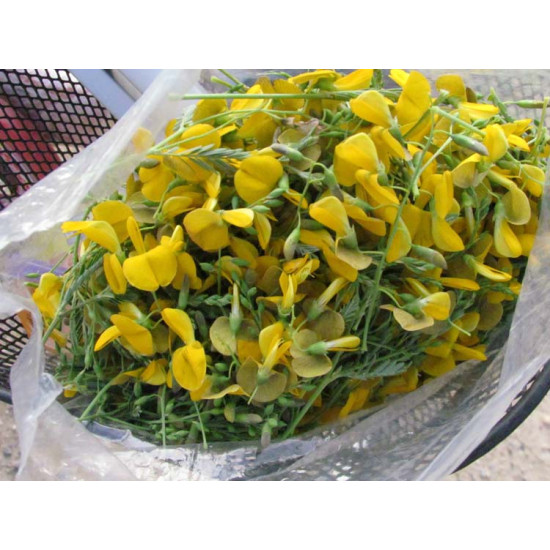 Sesbanin Flower 1kg