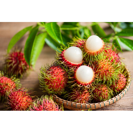 Fresh Rambutan 5kg