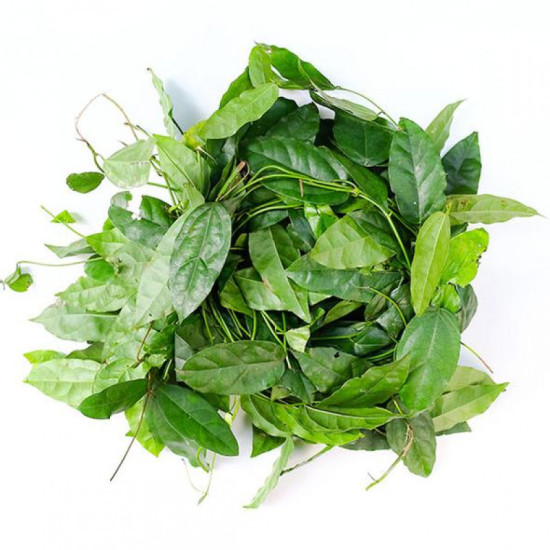 Bai Ya Nang 1kg / Sak Tree Leaf 1kg