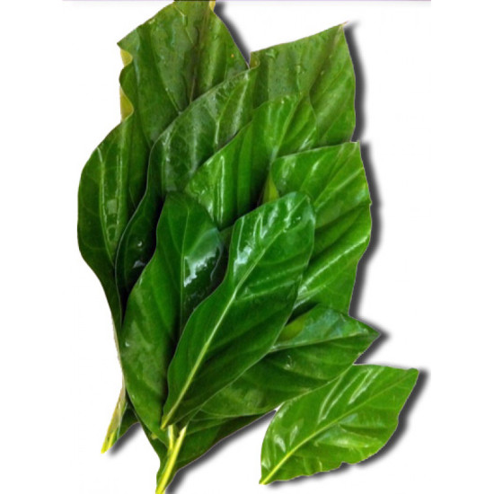 Bai Yor / Marinda Leaf  100g