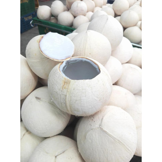 Burnt Coconut Pcs (size 300g-500g)
