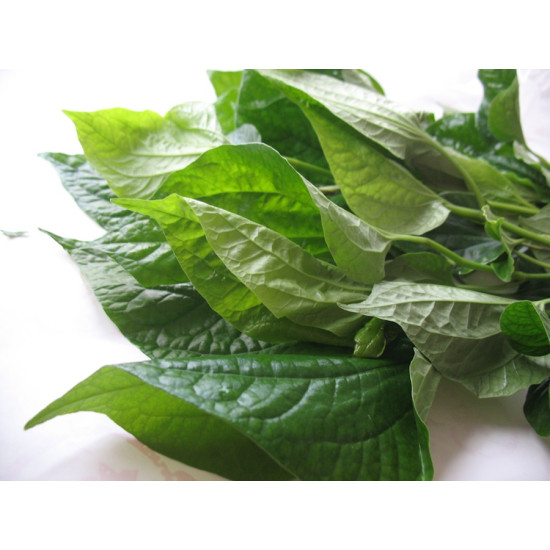 Wild Betel Leaf / Cha Plu Leaf 100g