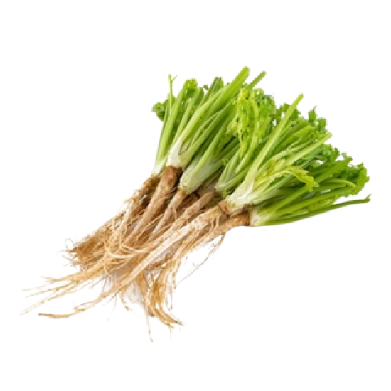 Coriander Root 100g