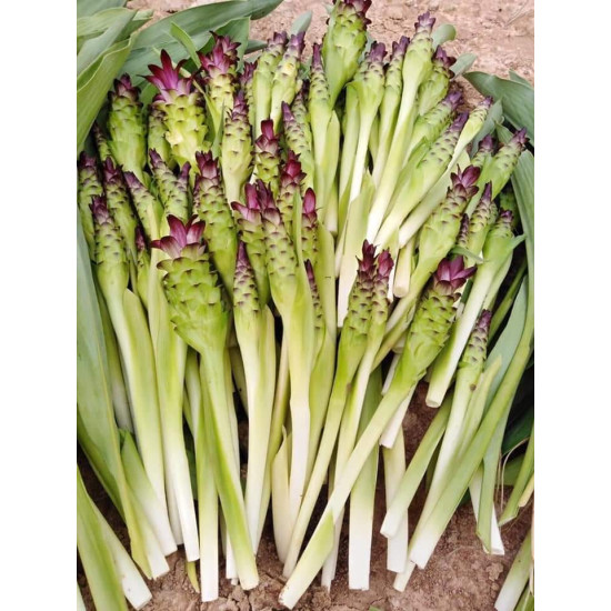 Dok Kra Jeaw 200g