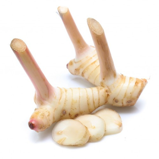 Galangal 100g