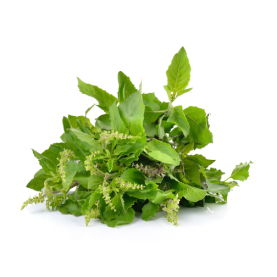 Holy Basil 100g