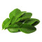 Fresh Kaffir Lime Leaves 100g