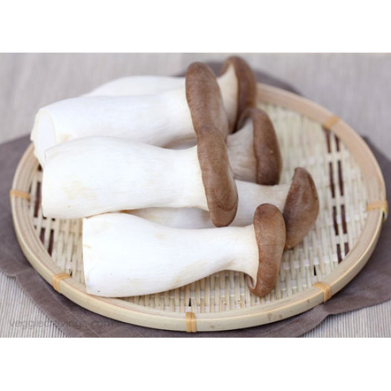 King Oyster Mushroom 1kg