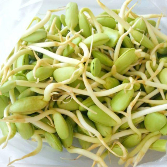 Luk Lieng 100g