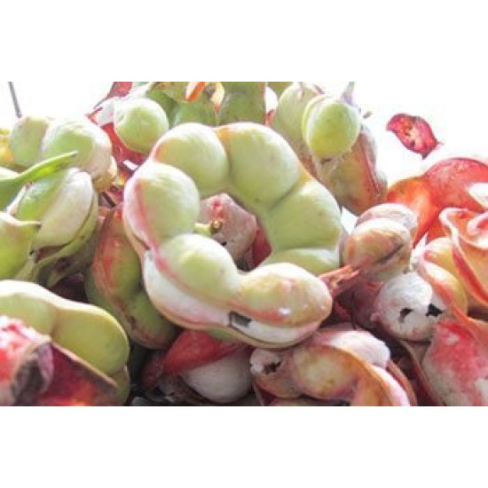 Manilla Tamarind 500g