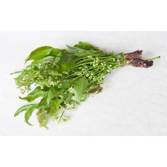 Margosa Flower / Neem Flower 1kg