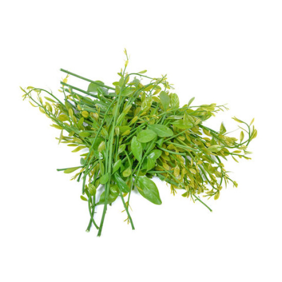 Melienta Suavis (Pak-Wan-Pa) 1kg