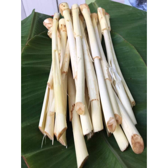 Peeled Fresh Rattan / Yod wai Leaf 1kg หวายอ่อน