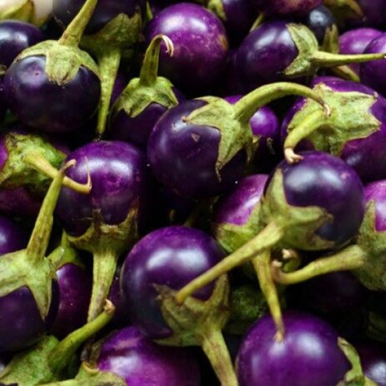 Purple Round Eggplant 200g