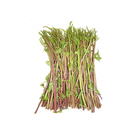 Red Morning Glory 200g