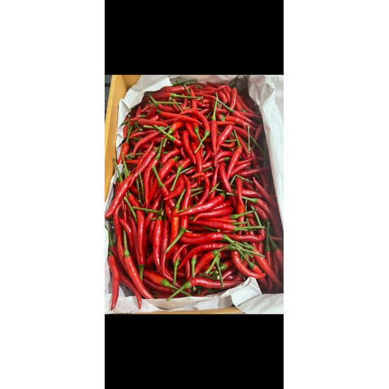 Red Chilli 1.5kg