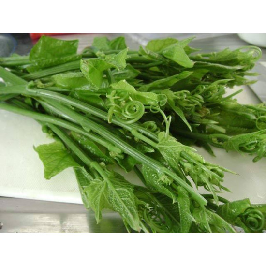 Shayote Leaf / Chayote Leaf 200g