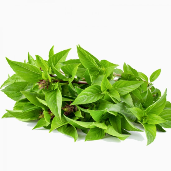 Sweet Basil 100g