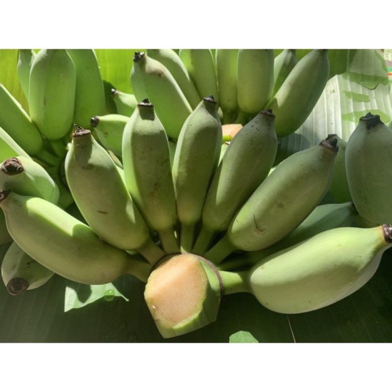 Thai Banana (Nam Waa) 1 Pcs