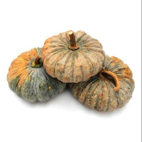 Thai Pumpkin Small 1kg