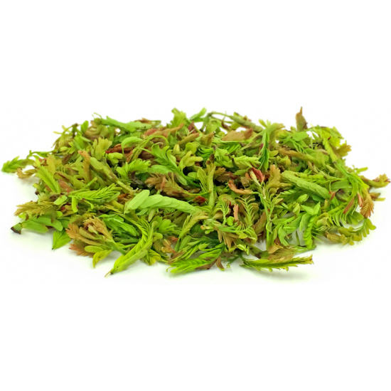 YOUNG TAMARIND LEAF 1kg