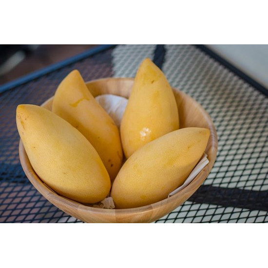 Yellow Mango 1kg