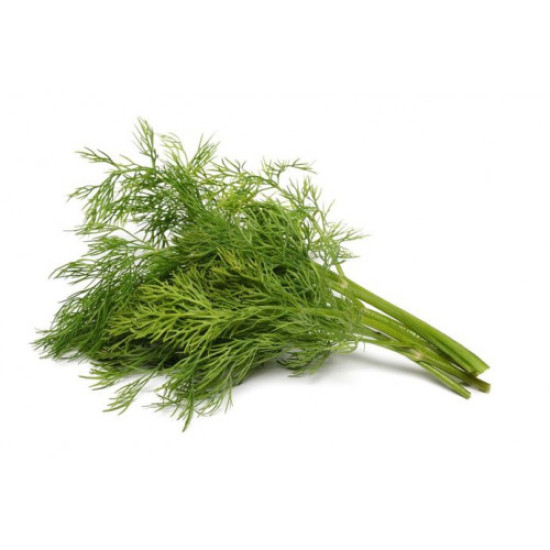 Laos Coriander / Dill 100g